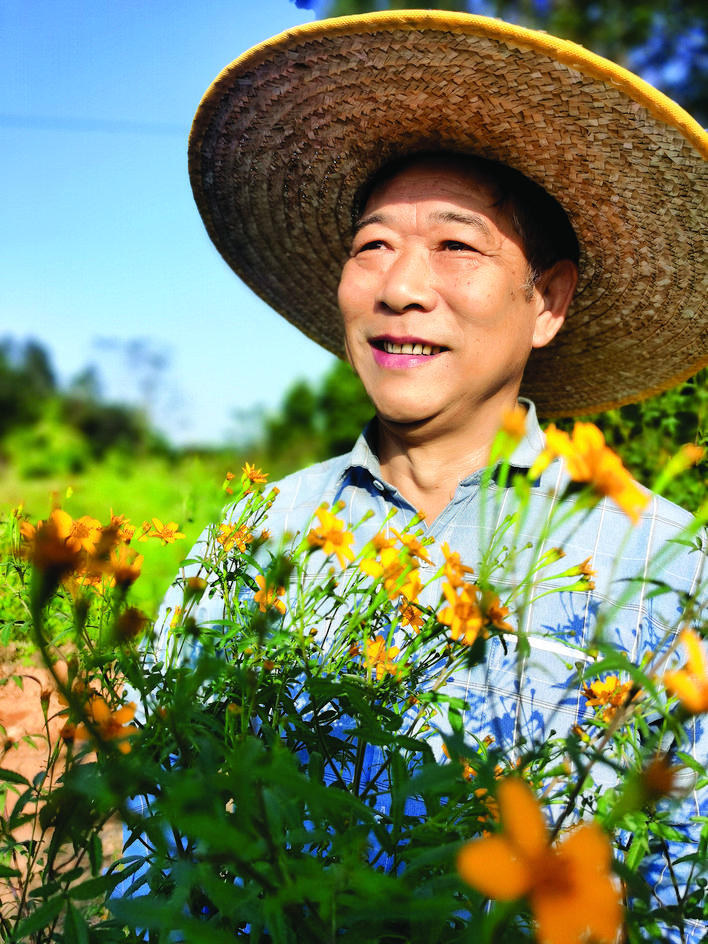 吴三毛种植芳香万寿菊。（来源：惠州日报社）