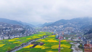 四川古蔺双沙：红黄相融，“画里乡村”走好产业发展路