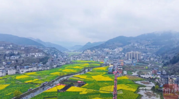 四川古蔺双沙：红黄相融，“画里乡村”走好产业发展路