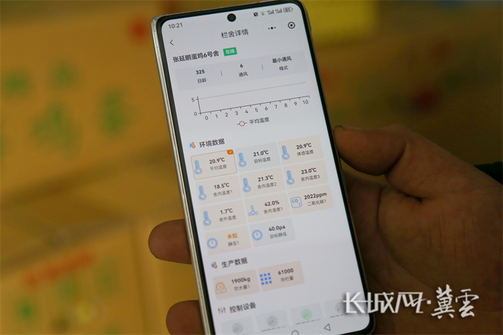 蛋鸡养殖户在手机上查看鸡舍内温度、湿度等情况。通讯员 郭江鹏 摄
