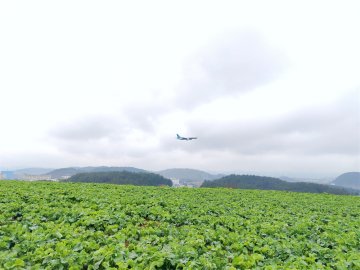 贵州双龙航空港经济区小碧乡：农旅融合