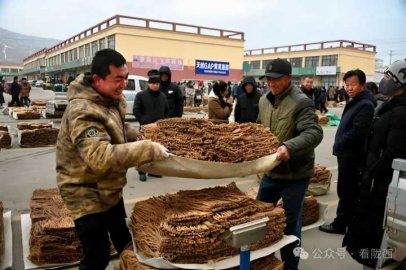 甘肃陇西药香飘，购销热