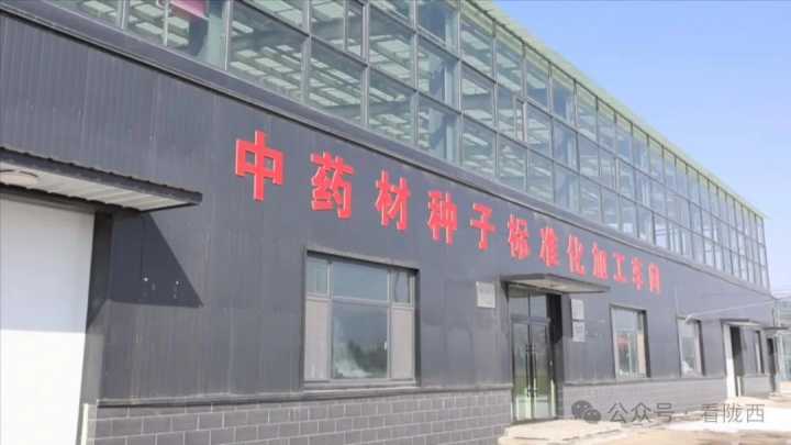 陇西：标准化药种为“中国药都”建设注入“硬核力量”